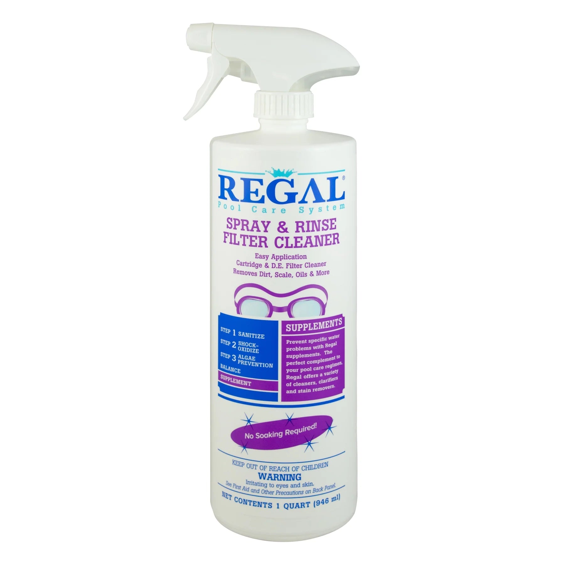 Regal Chemicals® 47247800 – 1-Quart Spray & Rinse Filter Cleaner ...